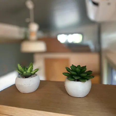 Lägenhet Tiny House Am Ranziger *