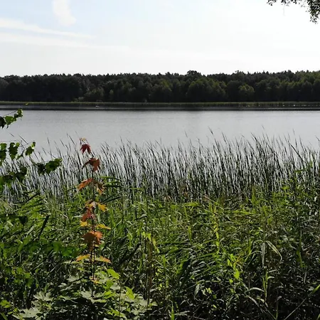 Tiny House Am Ranziger Apartmán *