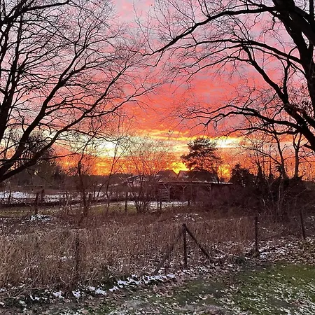 Tiny House Am Ranziger Apartmán Tauche