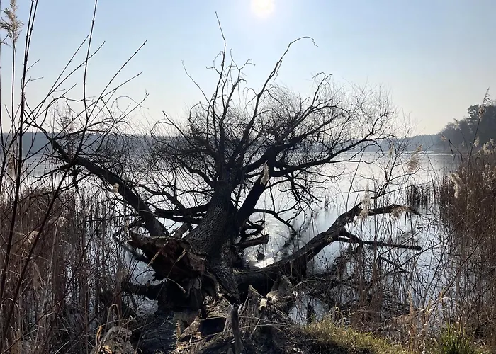 Tiny House Am Ranziger *