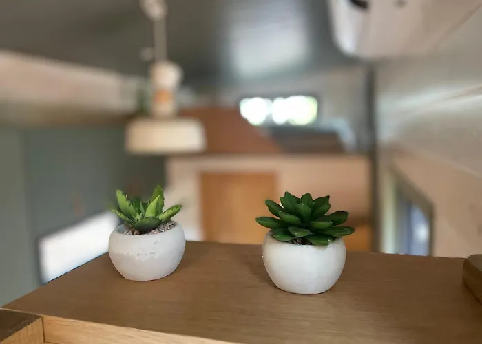 Апартаменты Tiny House Am Ranziger *