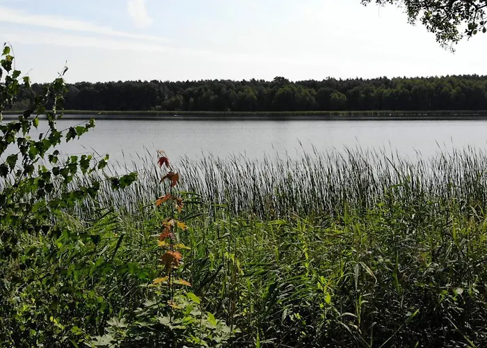 Tiny House Am Ranziger Lägenhet *