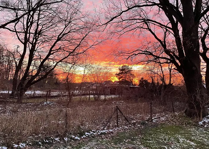 Tiny House Am Ranziger Апартаменты Tauche